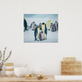 Kutest Baby Animals | Baby pinguïn Poster (Keuken)