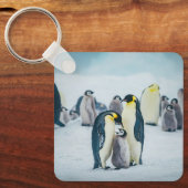 Kutest Baby Animals | Baby pinguïn Sleutelhanger (Voorkant)