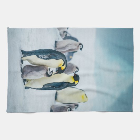 Kutest Baby Animals | Baby pinguïn Theedoek (Horizontaal)