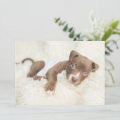 Kutest Baby Animals | Baby Pit Bull Puppy Bedankkaart (Staand voorkant)