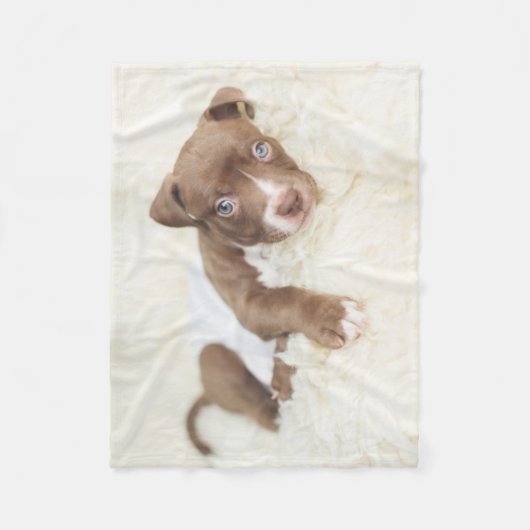 Kutest Baby Animals | Baby Pit Bull Puppy Fleece Deken (Voorkant)