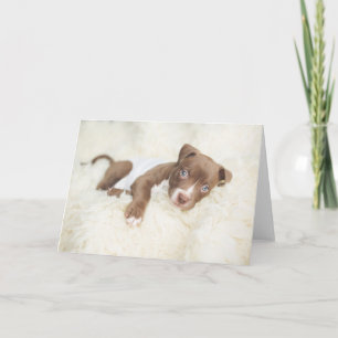 Kutest Baby Animals Baby Pit Bull Puppy Kaart