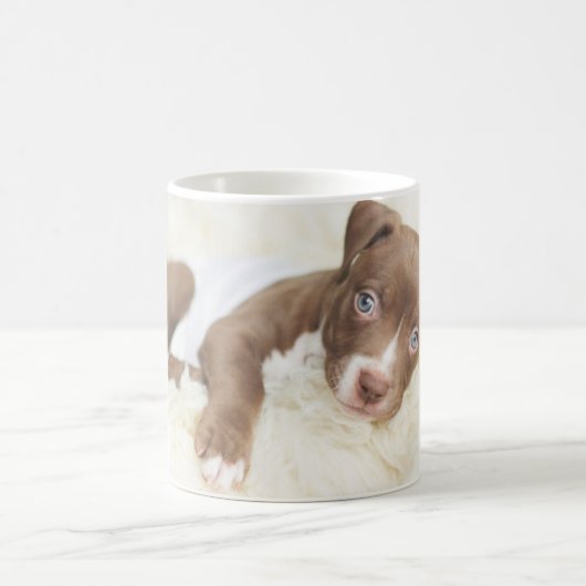 Kutest Baby Animals | Baby Pit Bull Puppy Koffiemok (Center)