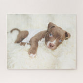 Kutest Baby Animals | Baby Pit Bull Puppy Legpuzzel (Horizontaal)