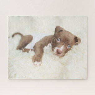 Kutest Baby Animals   Baby Pit Bull Puppy Legpuzzel
