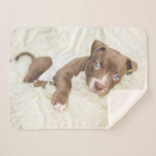 Kutest Baby Animals   Baby Pit Bull Puppy Sherpa Deken