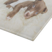 Kutest Baby Animals | Baby Pit Bull Puppy Snijplank (Hoek)