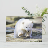 Kutest Baby Animals | Baby Polar Beer Cub Bedankkaart (Staand voorkant)
