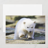 Kutest Baby Animals | Baby Polar Beer Cub Bedankkaart (Voorkant / Achterkant)