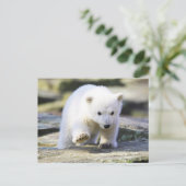 Kutest Baby Animals | Baby Polar Beer Cub Briefkaart (Staand voorkant)