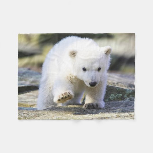 Kutest Baby Animals | Baby Polar Beer Cub Fleece Deken (Voorkant (Horizontaal))