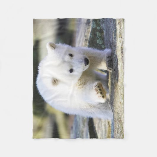 Kutest Baby Animals | Baby Polar Beer Cub Fleece Deken (Voorkant)
