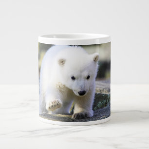 Kutest Baby Animals Baby Polar Beer Cub Grote Koffiekop