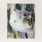 Kutest Baby Animals | Baby Polar Beer Cub Legpuzzel (Verticaal)