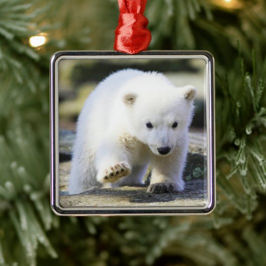 Kutest Baby Animals | Baby Polar Beer Cub Metalen Ornament (Boom)