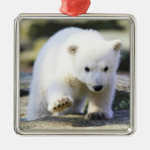 Kutest Baby Animals | Baby Polar Beer Cub Metalen Ornament (Voorkant)