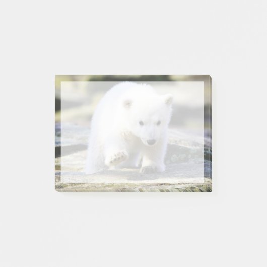 Kutest Baby Animals | Baby Polar Beer Cub Post-it® Notes (Voorkant)