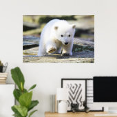 Kutest Baby Animals | Baby Polar Beer Cub Poster (Thuiskantoor)