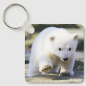 Kutest Baby Animals | Baby Polar Beer Cub Sleutelhanger (Voorkant)