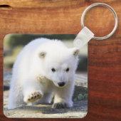 Kutest Baby Animals | Baby Polar Beer Cub Sleutelhanger (Achterkant)