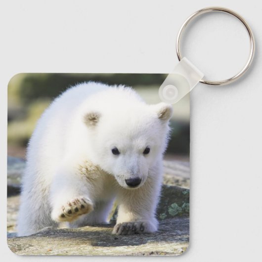 Kutest Baby Animals | Baby Polar Beer Cub Sleutelhanger (Achterkant)