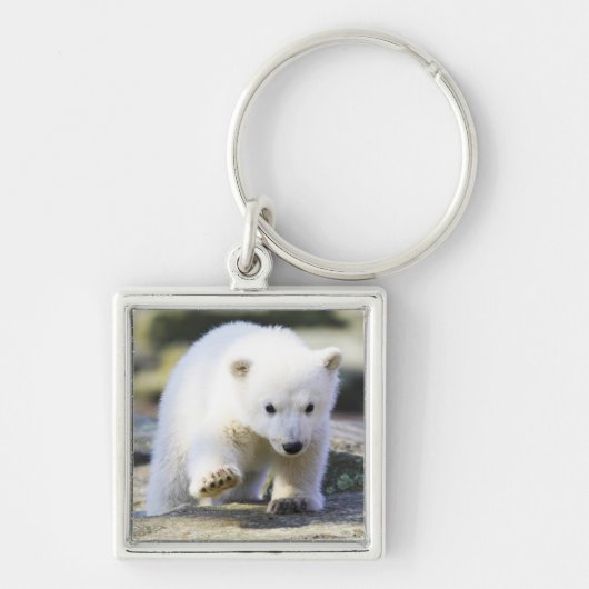 Kutest Baby Animals | Baby Polar Beer Cub Sleutelhanger (Voorkant)