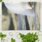 Kutest Baby Animals | Baby Polar Beer Cub Theedoek (Gevouwen)