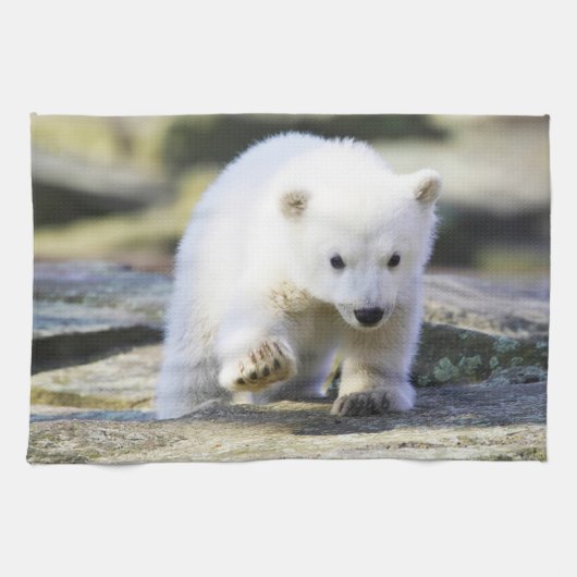 Kutest Baby Animals | Baby Polar Beer Cub Theedoek (Horizontaal)