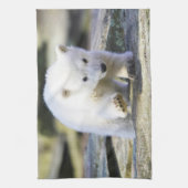 Kutest Baby Animals | Baby Polar Beer Cub Theedoek (Verticaal)