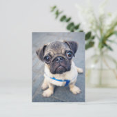 Kutest Baby Animals | Baby Pug Briefkaart (Staand voorkant)