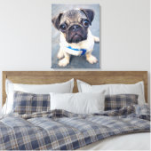 Kutest Baby Animals | Baby Pug Canvas Afdruk (Insitu (Slaapkamer))