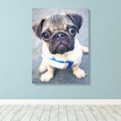Kutest Baby Animals | Baby Pug Canvas Afdruk (Insitu (Houten vloer))