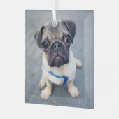 Kutest Baby Animals | Baby Pug Glas Ornament (Voorkant links)