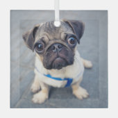 Kutest Baby Animals | Baby Pug Glas Ornament (Voorkant)