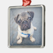 Kutest Baby Animals | Baby Pug Metalen Ornament (Links)