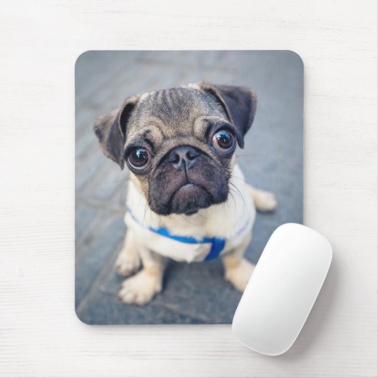 Kutest Baby Animals | Baby Pug Muismat (Met muis)