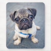 Kutest Baby Animals | Baby Pug Muismat (Voorkant)