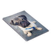 Kutest Baby Animals | Baby Pug Notitieboek (Rechterzijde)