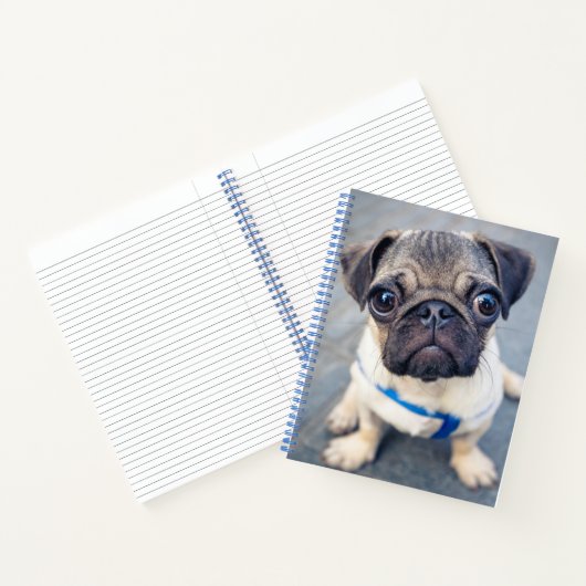 Kutest Baby Animals | Baby Pug Notitieboek (Binnen)