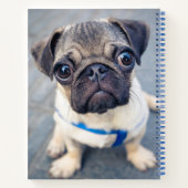 Kutest Baby Animals | Baby Pug Notitieboek (Achterkant)