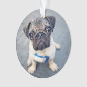 Kutest Baby Animals | Baby Pug Ornament (voorkant)