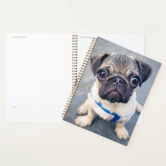 Kutest Baby Animals | Baby Pug Planner (Display)