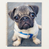 Kutest Baby Animals | Baby Pug Planner (Voorkant)