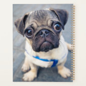 Kutest Baby Animals | Baby Pug Planner (Achterkant)