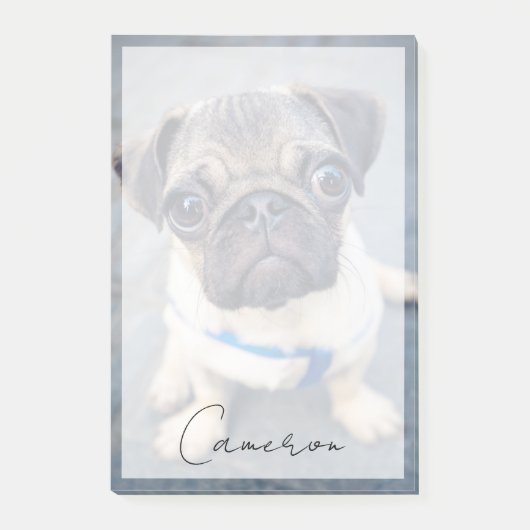 Kutest Baby Animals | Baby Pug Post-it® Notes (Voorkant)