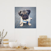 Kutest Baby Animals | Baby Pug Poster (Keuken)