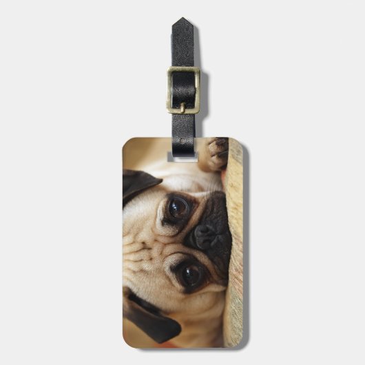 Kutest Baby Animals | Baby Pug Puppy Bagagelabel (Voorkant verticaal)