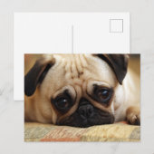Kutest Baby Animals | Baby Pug Puppy Briefkaart (Voorkant / Achterkant)
