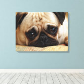 Kutest Baby Animals | Baby Pug Puppy Canvas Afdruk (Insitu (Houten vloer))