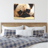 Kutest Baby Animals | Baby Pug Puppy Canvas Afdruk (Insitu (Slaapkamer))